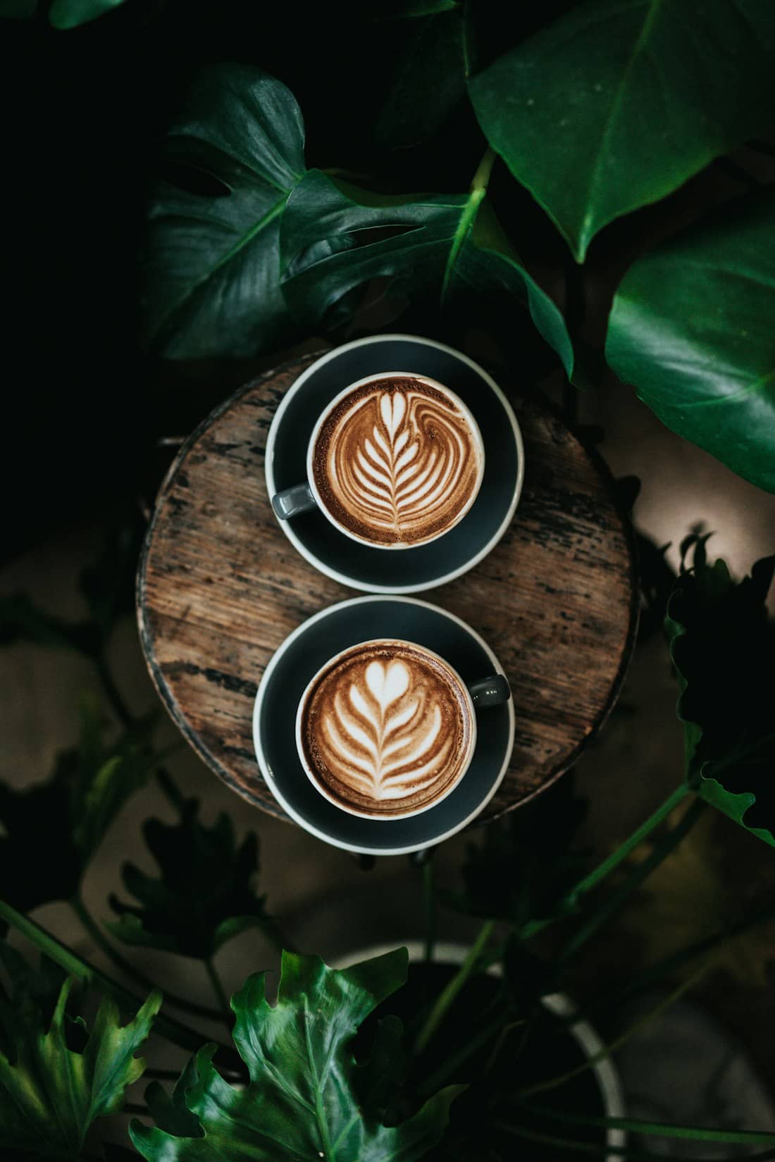 Cortado